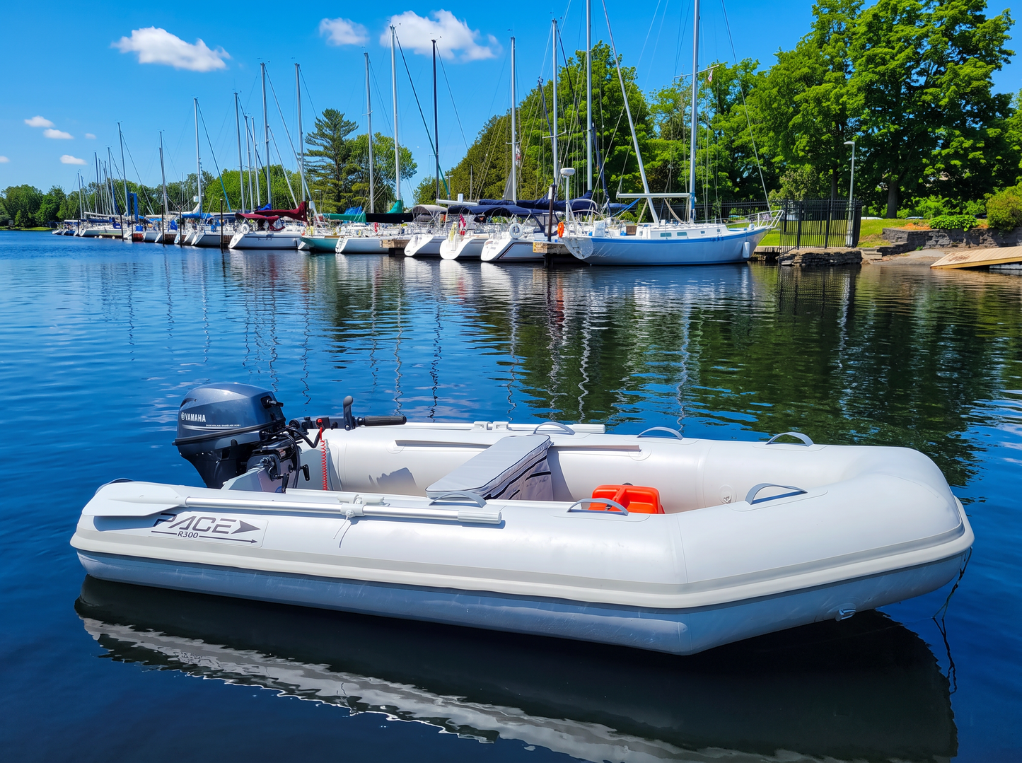 Pace R300 Rollup Inflatable Tender (10')